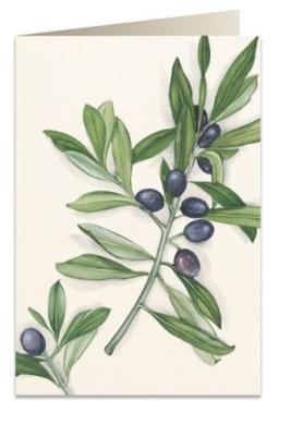 Opakowanie Karnet B6 + koperta 7520 Oliwki