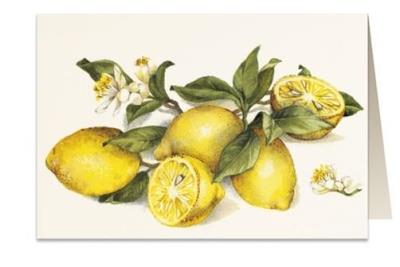 Opakowanie Karnet B6 + koperta 8903 Cytryna