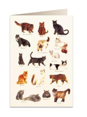 Opakowanie Karnet B6 + koperta 8949 Koty 2