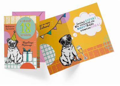 Opakowanie Karnet B6 PR-395 Urodziny 18
