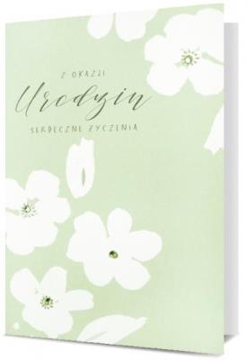 Opakowanie Karnet B6 Urodziny HM200-2408