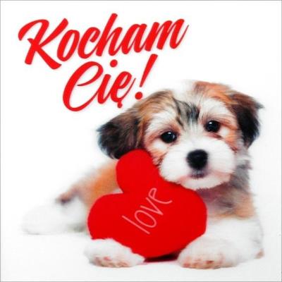 Opakowanie Karnet Walentynki K. 3D-40