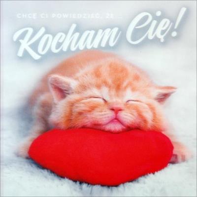 Opakowanie Karnet Walentynki K. 3D-43