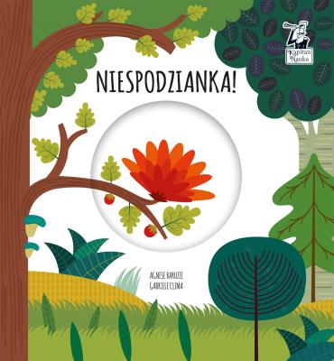 Niespodzianka Magiczne koło Kapitan Nauka. Autor: Clima Gabriele. SmakLiter.pl Okładka książki Niespodzianka Magiczne koło Kapitan Nauka