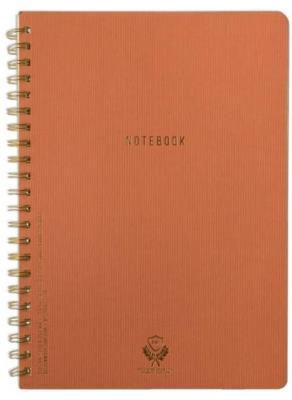 Opakowanie Notes A4/160K linia Terra Cotta