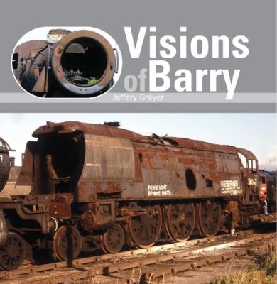 VISIONS OF BARRY. Autor: Grayer Jeffery. SmakLiter.pl Okładka książki VISIONS OF BARRY