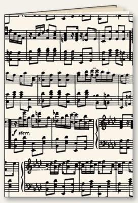 Opakowanie Zeszyt ozdobny A5/48K linia Muzyka