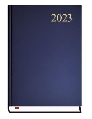 Opakowanie Asystent 2021 MiP granat