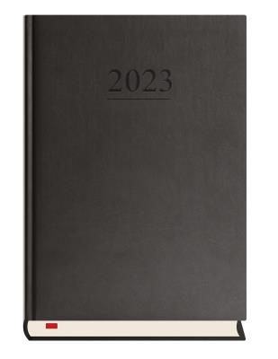 Opakowanie Terminarz 2021 Menadżera MiP czarny