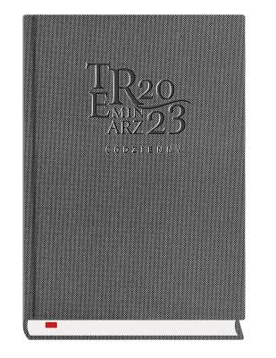 Opakowanie Terminarz 2021 Codzienny MiP metalik