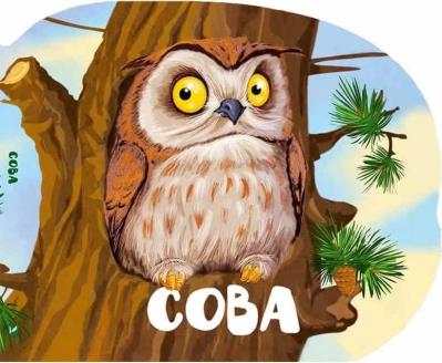 Okładka książki A Baby Owl w.ukraińska