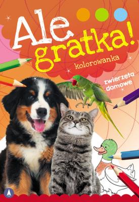 Ale gratka! Zwierzęta domowe. Autor: WYDAWNICTWO SKRZAT. SmakLiter.pl Okładka książki Ale gratka! Zwierzęta domowe