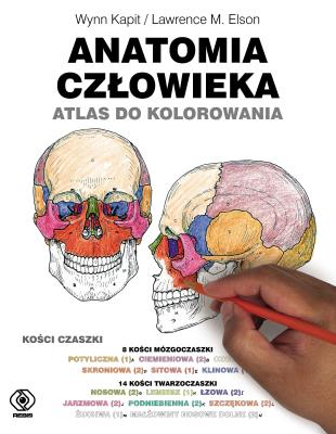 Anatomia człowieka. Atlas do kolorowania. Autor: WYNN KAPIT, LAWRENCE M. ELSON. SmakLiter.pl Okładka książki Anatomia człowieka. Atlas do kolorowania