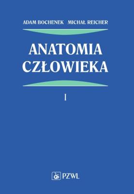 Anatomia człowieka Tom 1. Autor: Bochenek Adam, Reicher Michał. SmakLiter.pl Okładka książki Anatomia człowieka Tom 1