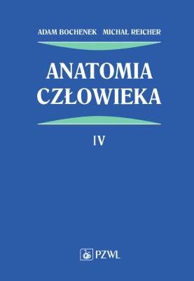 Anatomia człowieka Tom 4. Autor: Bochenek Adam, Reicher Michał. SmakLiter.pl Okładka książki Anatomia człowieka Tom 4