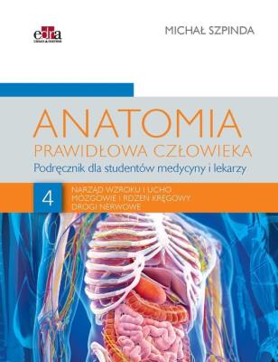Okładka książki Anatomia prawidłowa człowieka. Tom 4