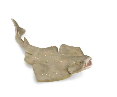 Angel Shark. Wydawca: Collecta. SmakLiter.pl Opakowanie Angel Shark
