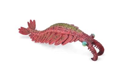 Anomalocaris. Wydawca: Collecta. SmakLiter.pl Opakowanie Anomalocaris