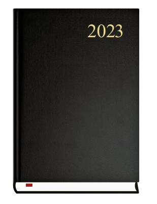 Opakowanie Asystent 2021 MiP czarny