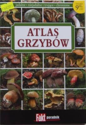 Atlas grzybów. Autor: Kamiński Wiesław. SmakLiter.pl Okładka książki Atlas grzybów