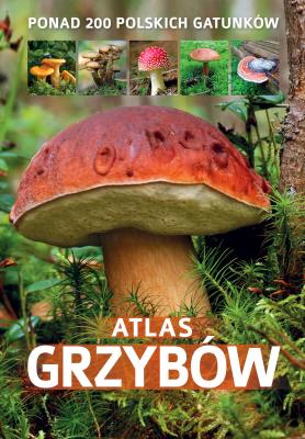 Atlas grzybów. Autor: Patrycja Zarawska. SmakLiter.pl Okładka książki Atlas grzybów