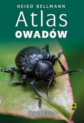 Okładka książki Atlas owadów w5