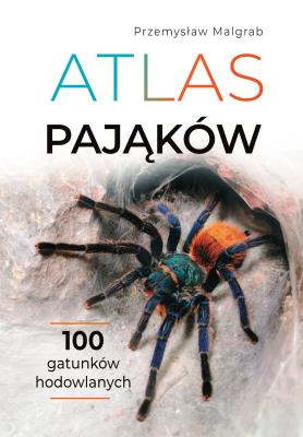 Atlas pająków. Autor: Przemysław Malgrab. SmakLiter.pl Okładka książki Atlas pająków