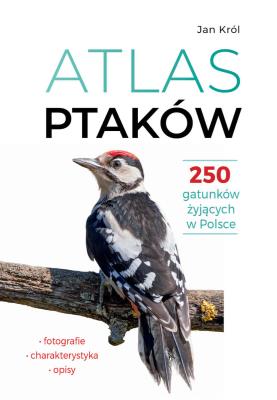 Atlas ptaków. 250 gatunków żyjących w Polsce. Autor: Jan Król. SmakLiter.pl Okładka książki Atlas ptaków. 250 gatunków żyjących w Polsce