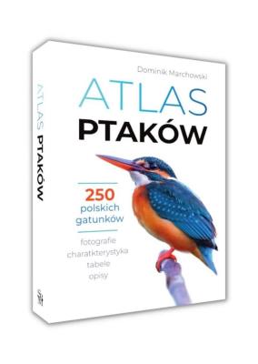 Atlas ptaków. Autor: Marchowski Dominik. SmakLiter.pl Okładka książki Atlas ptaków