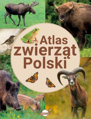Atlas zwierząt Polski. Autor: Ulanowski Krzysztof. SmakLiter.pl Okładka książki Atlas zwierząt Polski