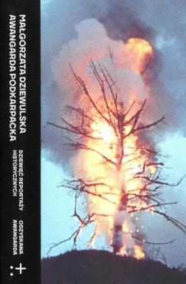 Okładka książki Awangarda podkarpacka