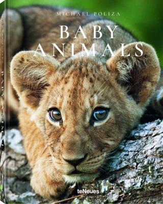 Baby Animals. Autor: Poliza Michael. SmakLiter.pl Okładka książki Baby Animals