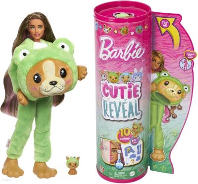 Opakowanie Barbie Color Reveal Lalka Piesek-Żaba HRK24