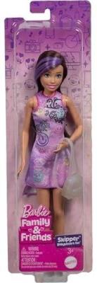 Opakowanie Barbie Family&Friends Lalka Skipper JBF41