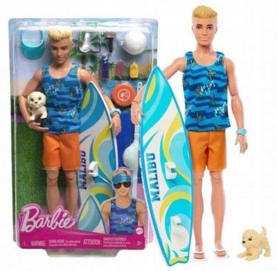 Opakowanie Barbie Fashionistas. Ken surfer + akcesoria HPT50