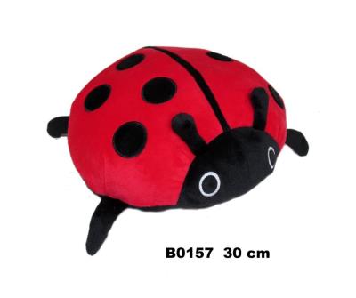 Biedronka 30cm. Wydawca: Sun-Day. SmakLiter.pl Opakowanie Biedronka 30cm