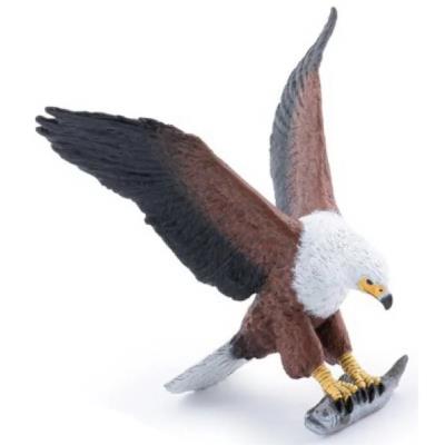 Opakowanie Bielik afrykański