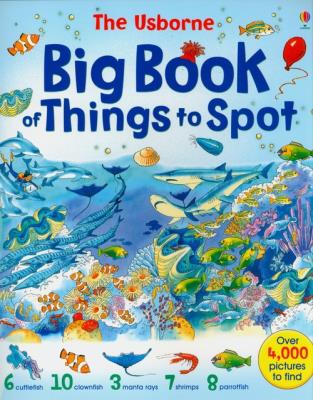 Opakowanie BIG BOOK OF THINGS TO SPOT