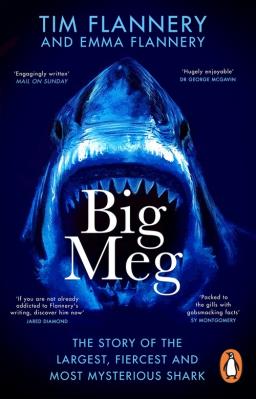 Big Meg. Autor: Flannery, Tim, Emma. SmakLiter.pl Okładka książki Big Meg