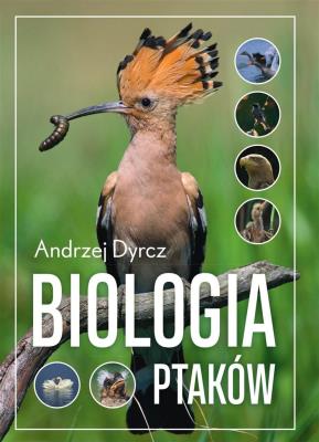 Biologia ptaków. Autor: Andrzej Dyrcz. SmakLiter.pl Okładka książki Biologia ptaków