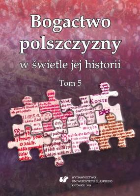 Okładka książki Bogactwo polszczyzny w świetle jej historii. T. 5