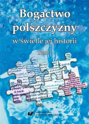 Okładka książki Bogactwo polszczyzny w świetle jej historii T.7