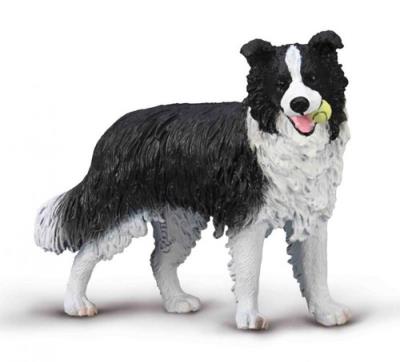 Border Collie. Wydawca: Collecta. SmakLiter.pl Opakowanie Border Collie