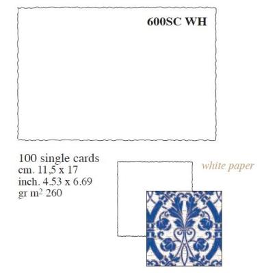 Opakowanie Box 100 kartek 20x30cm 700LC