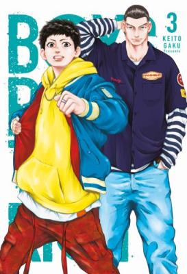 Opakowanie Boys Run the Riot. Tom 3