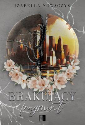 Okładka książki Brakujący fragment