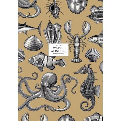 Brulion A4/80K kratka Water Wonders ASTRA. Wydawca: ASTRA papiernicze. SmakLiter.pl Opakowanie Brulion A4/80K kratka Water Wonders ASTRA