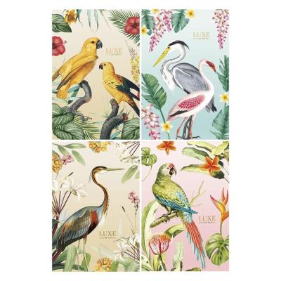 Opakowanie Brulion B5/80K kratka Luxe ASTRA