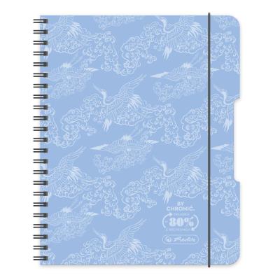 Opakowanie Brulion na spirali B5/80K kratka błękitny (2szt)