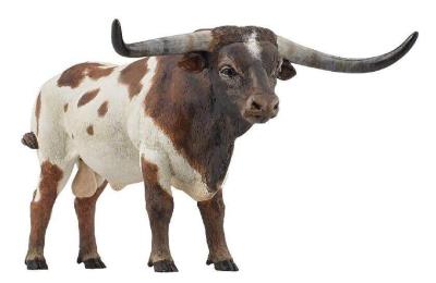 Opakowanie Byk długorogi